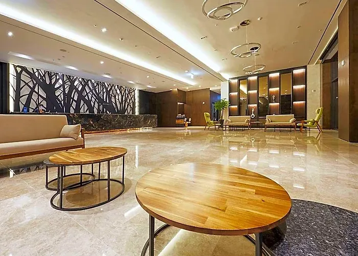 首爾弘大 雅曼蒂酒店 酒店